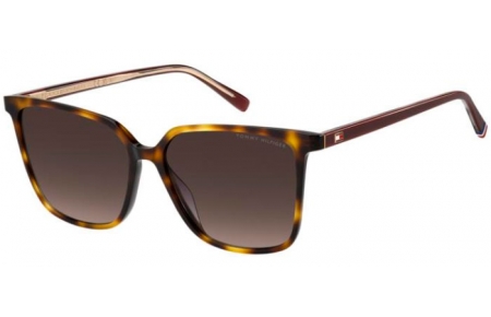 Gafas de Sol - Tommy Hilfiger - TH 2292/S - 05L (HA) HAVANA BROWN // BROWN GRADIENT