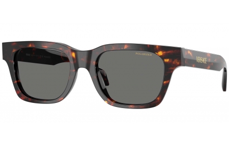 Gafas de Sol - Versace - VE4486 - 550981  HAVANA // DARK GREY POLARIZED