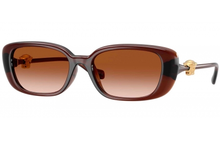 Gafas de Sol - Versace - VE4504D - 533213  TRANSPARENT BROWN // BROWN GRADIENT