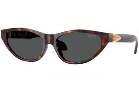 Sunglasses - Versace - VE4491U - 108/87 HAVANA // DARK GREY