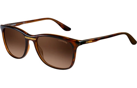 Lunettes de soleil - Carrera - CARRERA 6013/S - DWJ (HA) HAVANA // BROWN GRADIENT