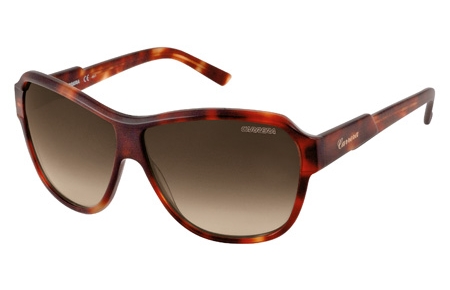 Gafas de Sol - Carrera - CARRERA 41 - WDR (SH) BLONDE HAVANA // BROWN GRADIENT