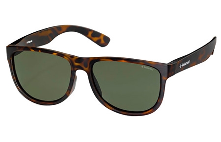 Lunettes de soleil - Polaroid Premium - PLD 3004/S - PHT (H8) HAVANA // GREEN POLARIZED