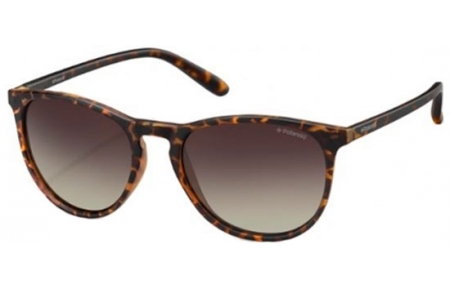 Lunettes de soleil - Polaroid - PLD 6003/N/S - V08 (LA) HAVANA // BROWN  GRADIENT POLARIZED