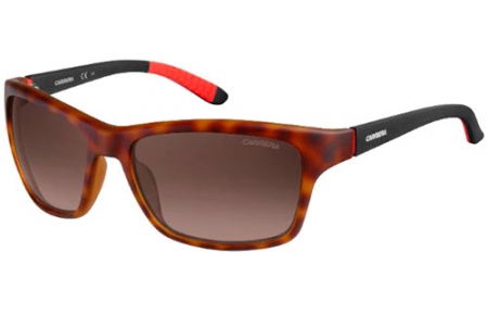 Sunglasses - Carrera - CARRERA 8013/S - 6XV (LA) HAVANA BLACK // BROWN GRADIENT POLARIZED