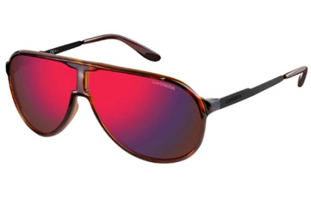 Sunglasses - Carrera - NEW CHAMPION - LAO  (BJ) HAVANA BLACK // DARK BROWN INFRARED
