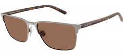 Gafas de Sol - Arnette - AN3094 HAMPERE - 738/73 BRUSHED GUNMETAL // DARK BROWN