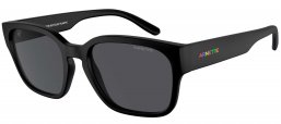 Gafas de Sol - Arnette - AN4325 HAMIE - 290087  MATTE RECYCLED BLACK // DARK GREY