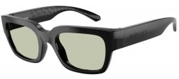 Gafas de Sol - Arnette - AN4354 MYNDEGAP - 2900/2 BLACK // LIGHT GREEN