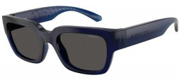 Gafas de Sol - Arnette - AN4354 MYNDEGAP - 299087  TRANSPARENT DARK BLUE // DARK GREY