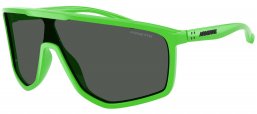 Gafas de Sol - Arnette - AN4360 STRIPE-M - 295087  GREEN GEKKO // DARK GREY