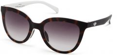 Sunglasses - Adidas Originals - AOR006 - 148.001 BROWN WHITE // GRADIENT BROWN
