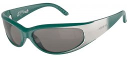 Sunglasses - Arnette - AN4302 CATFISH - 28176G GREEN GRADIENT METAL SILVER // LIGHT GREY MIRROR SILVER 80