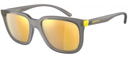 Sunglasses - Arnette - AN4306 PLAKA - 28275A TRANSPARENT GREY // YELLOW MIRROR GOLD
