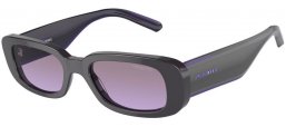 Sunglasses - Arnette - AN4317 LITTY - 12404Q  GREY // GREY GRADIENT PURPLE