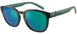 Sunglasses - Arnette - AN4319 BARRANCO - 2871F2  SHINY BLACK // GREEN MIRROR