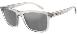 Gafas de Sol - Arnette - AN4321 LEBOWL - 2858Z3  TRANSPARENT GREY // GREY POLARIZED