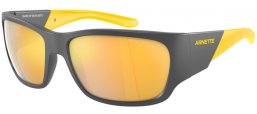 Gafas de Sol - Arnette - AN4324 LIL' SNAP  - 28775A  MATTE GREY // GOLD MIRROR