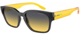 Sunglasses - Arnette - AN4325 HAMIE - 27862Q  TRANSPARENT GREY // DARK GREY GRADIENT YELLOW