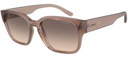 Sunglasses - Arnette - AN4325 HAMIE - 290613  TRANSPARENT TOBACCO // BROWN GRADIENT