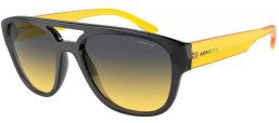 Gafas de Sol - Arnette - AN4327 MEW2 - 27862Q  TRANSPARENT GREY // DARK GREY GRAIENT YELLOW