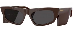 BE4385 PALMER