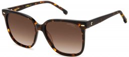 Gafas de Sol - Carrera - CARRERA 3002/S - 086 (HA) HAVANA // BROWN GRADIENT