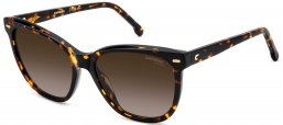 Gafas de Sol - Carrera - CARRERA 3043/S - 086 (HA) HAVANA // BROWN GRADIENT