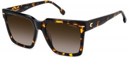 Gafas de Sol - Carrera - CARRERA 3067/S - 086 (HA) DARK HAVANA // BROWN GRADIENT