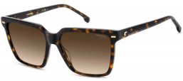 Gafas de Sol - Carrera - CARRERA 3069/S - 086 (HA) HAVANA // BROWN GRADIENT