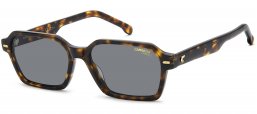 Gafas de Sol - Carrera - CARRERA 3114/S - WR9 (IR) HAVANA BROWN // GREY
