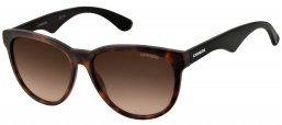 Gafas de Sol - Carrera - CARRERA 6004 - 4NC (HA) HAVANA BLACK // BROWN GRADIENT