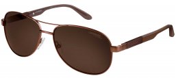 Gafas de Sol - Carrera - CARRERA 8019/S - TVL (SP)  METAL BROWN // BRONZE POLARIZED