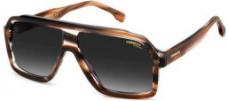Sunglasses - Carrera - CARRERA 1053/S - HQZ (9O) BROWN HORN GOLD // DARK GREY GRADIENT