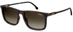 Gafas de Sol - Carrera - CARRERA 231/S - 086 (HA) DARK HAVANA // BROWN GRADIENT