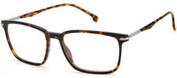CARRERA 283