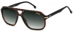 Sunglasses - Carrera - CARRERA 302/S - 086 (9K) HAVANA // GREEN GRADIENT