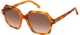 Sunglasses - Carrera - CARRERA 3026/S - 086 (HA) HAVAN HONEY // BROWN GRADIENT