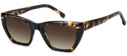 Gafas de Sol - Carrera - CARRERA 3081/S - 086 (HA) DARK HAVANA // BROWN GRADIENT