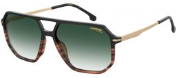 Sunglasses - Carrera - CARRERA 324/S - WR7 (9K) BLACK HAVANA // GREEN GRADIENT