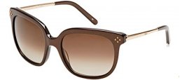 Sunglasses - Chloé - CE642S - 210 BROWN GLITTER // BROWN GRADIENT