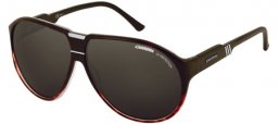 Sunglasses - Carrera - AVANT - 253 (EJ) HAVANA GOLD BLACK // BROWN