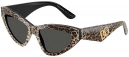 Gafas de Sol - Dolce & Gabbana - DG4439 - 316387  LEOPARD BROWN ON BLACK // DARK GREY