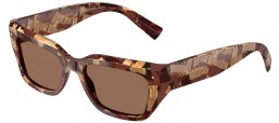 Gafas de Sol - Dolce & Gabbana - DG4462 - 346273  PEARL HAVANA BROWN // DARK BROWN