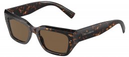 Gafas de Sol - Dolce & Gabbana - DG4462 - 502/73 DARK HAVANA // DARK BROWN