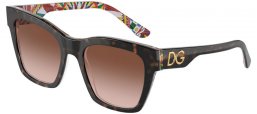 Gafas de Sol - Dolce & Gabbana - DG4384 - 321773  HAVANA ON WHITE BARROW // BROWN GRADIENT