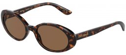 Gafas de Sol - Dolce & Gabbana - DG4443 - 502/73 HAVANA // DARK BROWN