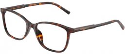 Frames - Dolce & Gabbana - DG3424 - 502 HAVANA