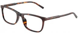 Frames - Dolce & Gabbana - DG3427 - 502  HAVANA