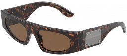 Gafas de Sol - Dolce & Gabbana - DG4411 - 502/73  HAVANA // DARK BROWN